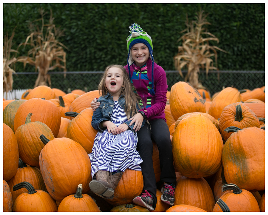 blog-remlinger-farms-mayas-5th-birthday-5