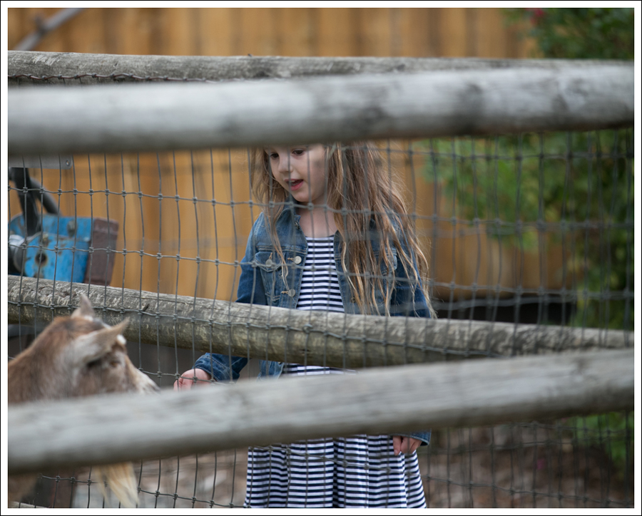 blog-remlinger-farms-mayas-5th-birthday-7