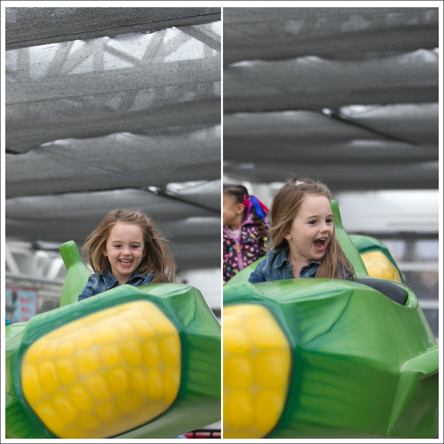 blog-remlinger-farms-x2